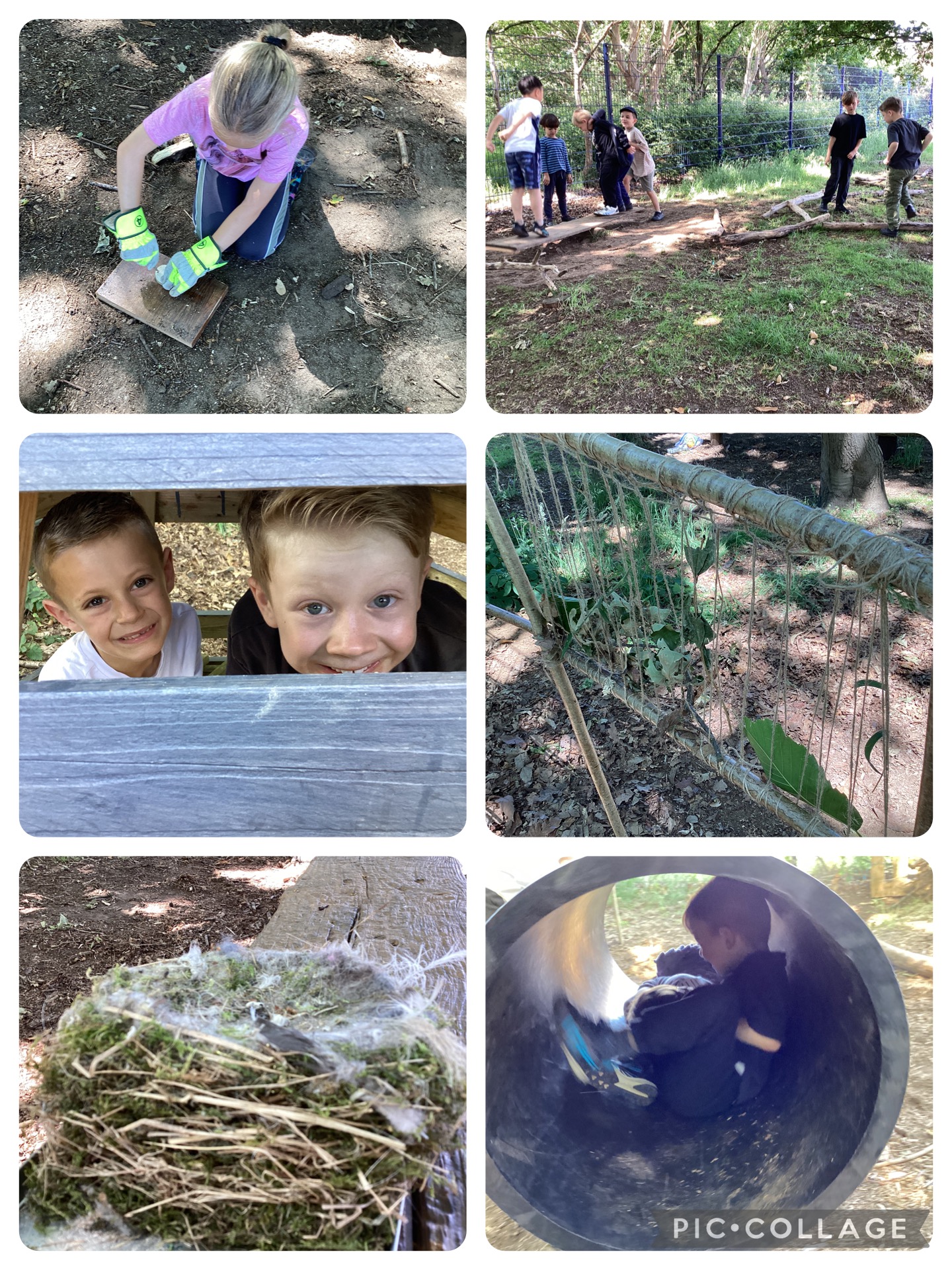 Holly Blues enjoying Forest School