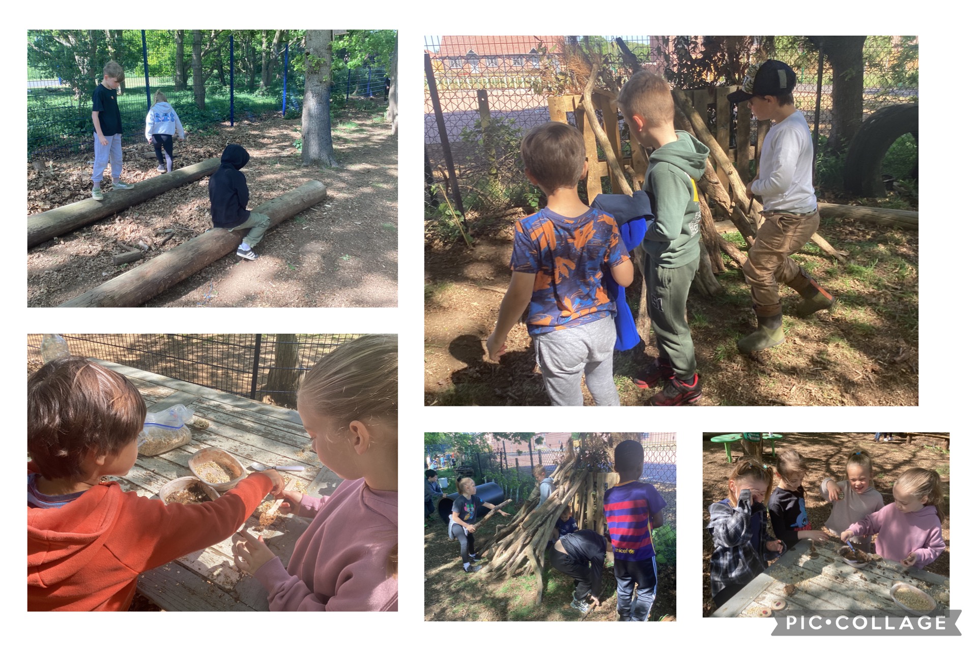 Learning about blue tits and making pizza bird feeders