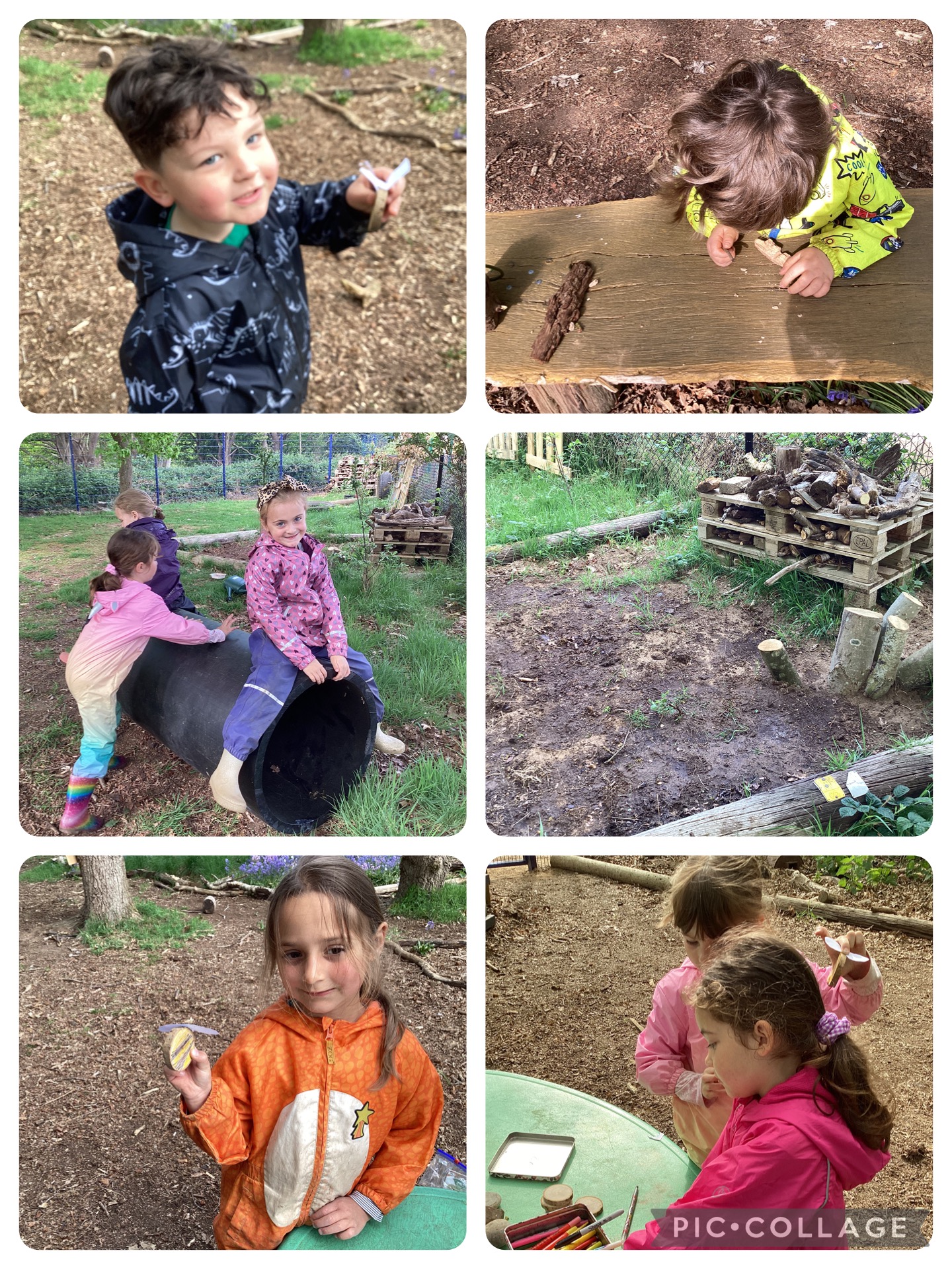 Small Blues enjoying Forest School