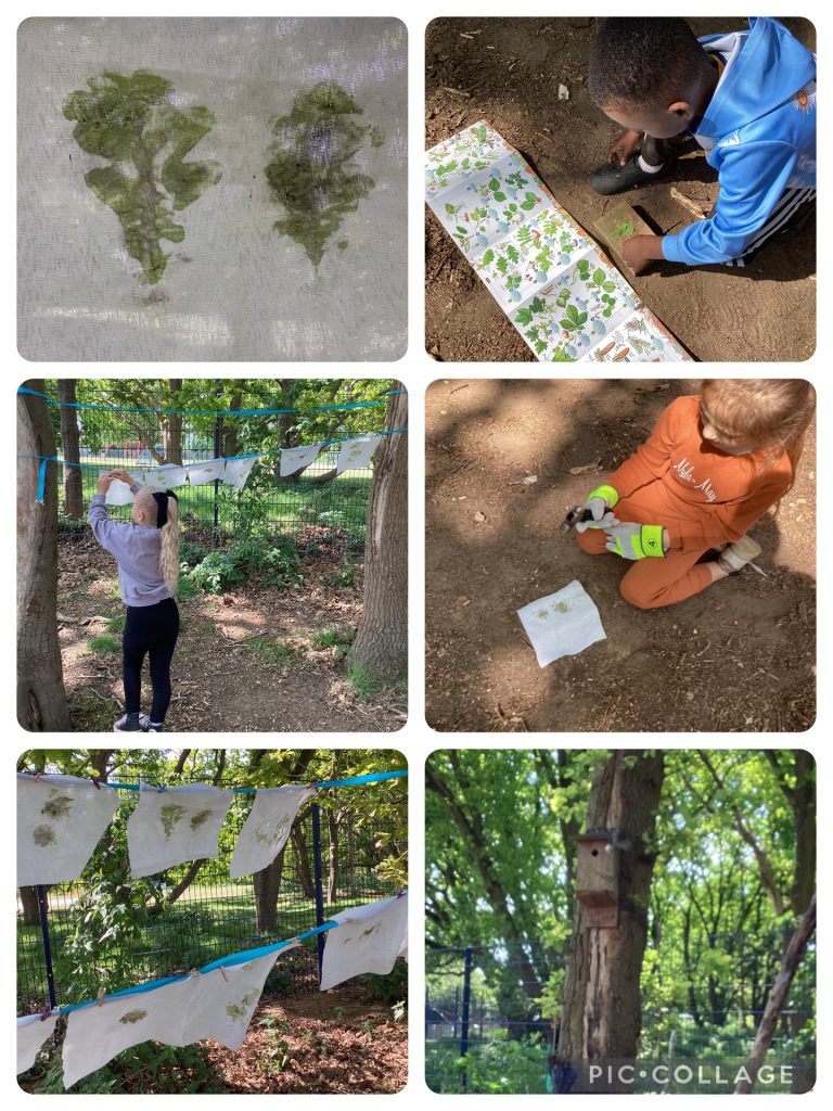 Holly Blues enjoying Forest School