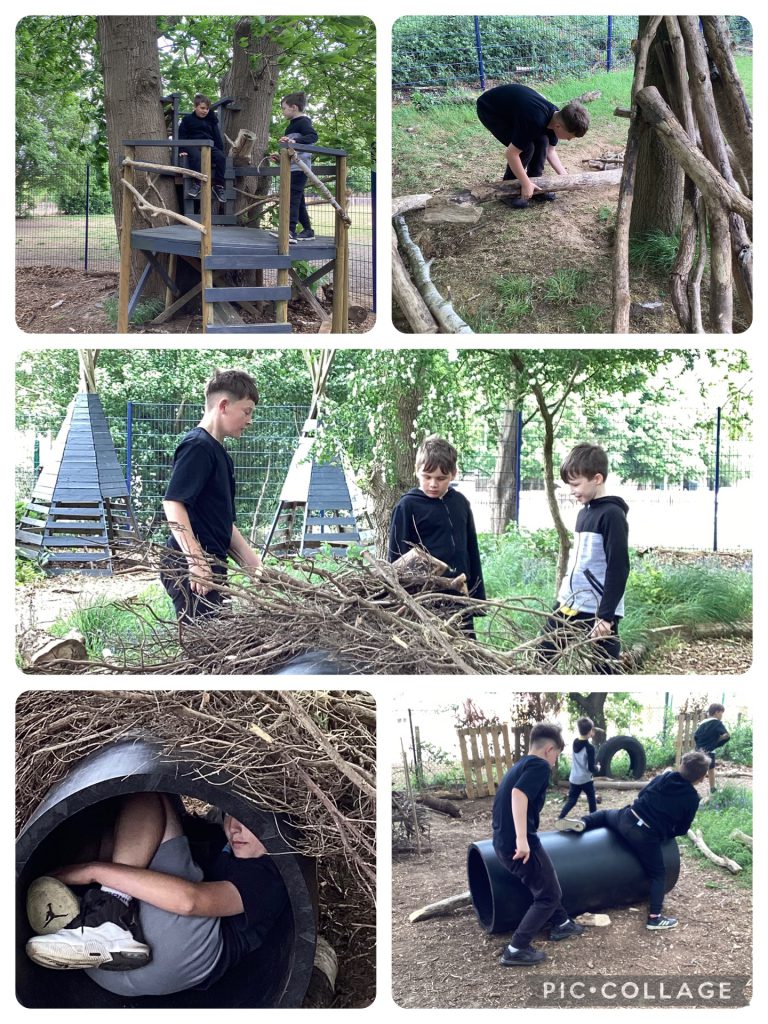 Den building