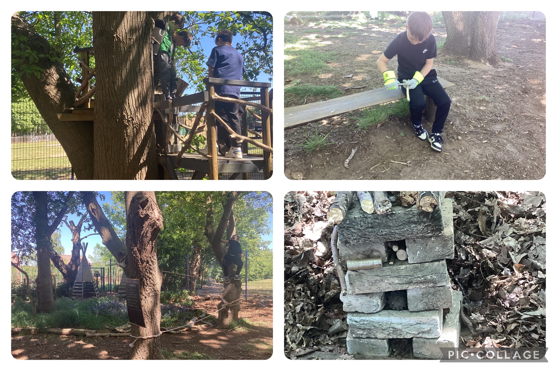 Building a new bug hotel and whittling