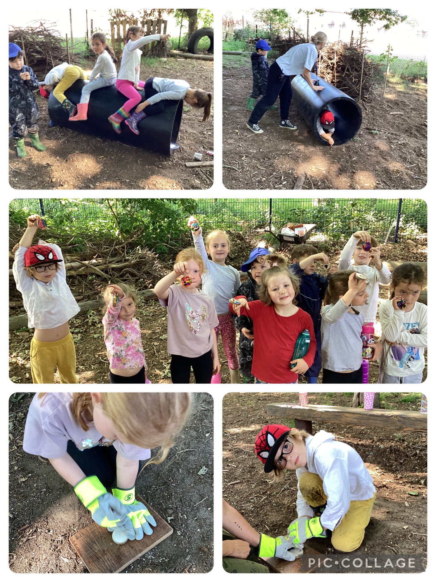 Small Blues enjoying Forest School