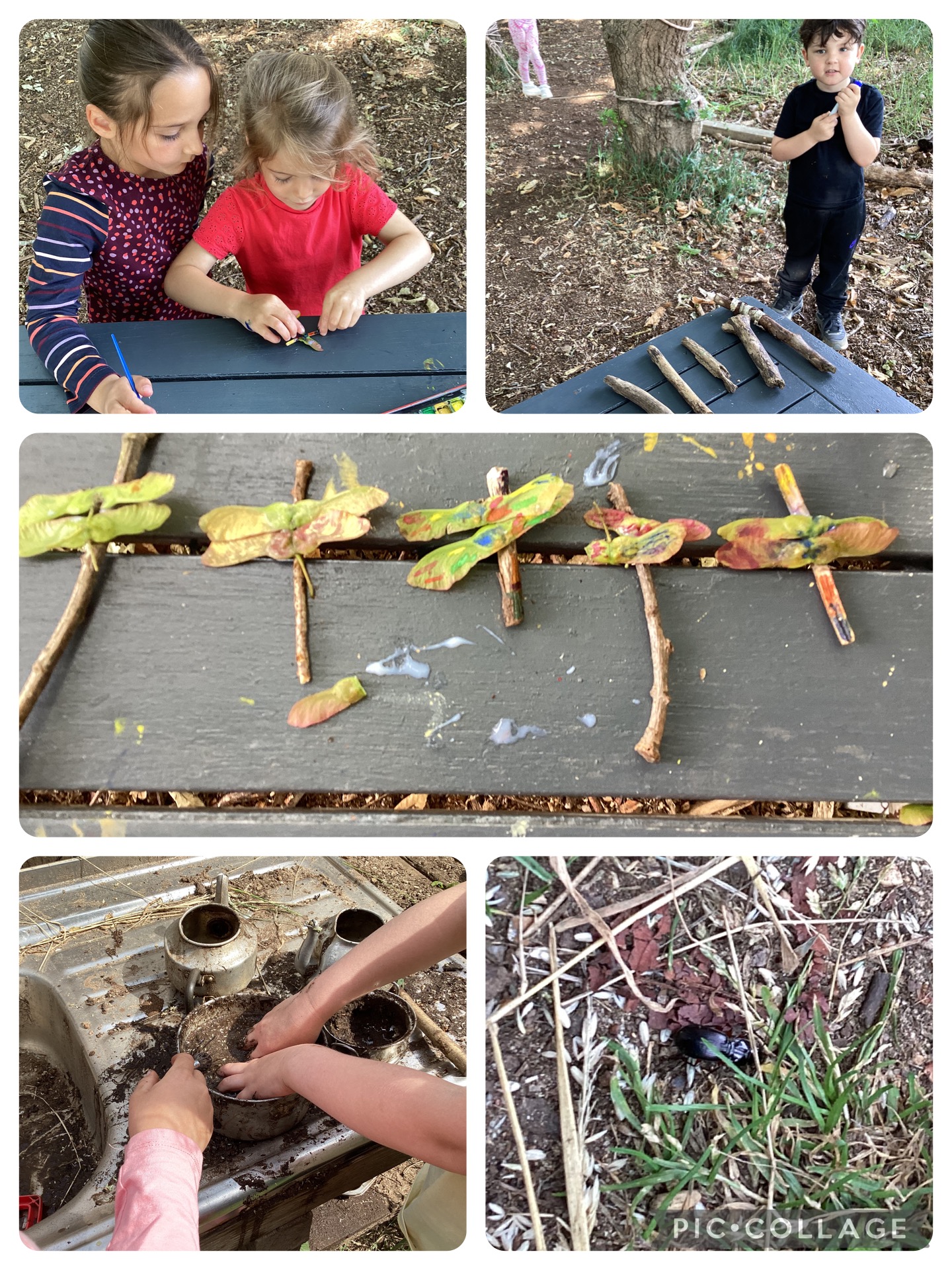 Small Blues - Making their very own dragonflies using natural resources (maple seeds and twigs)