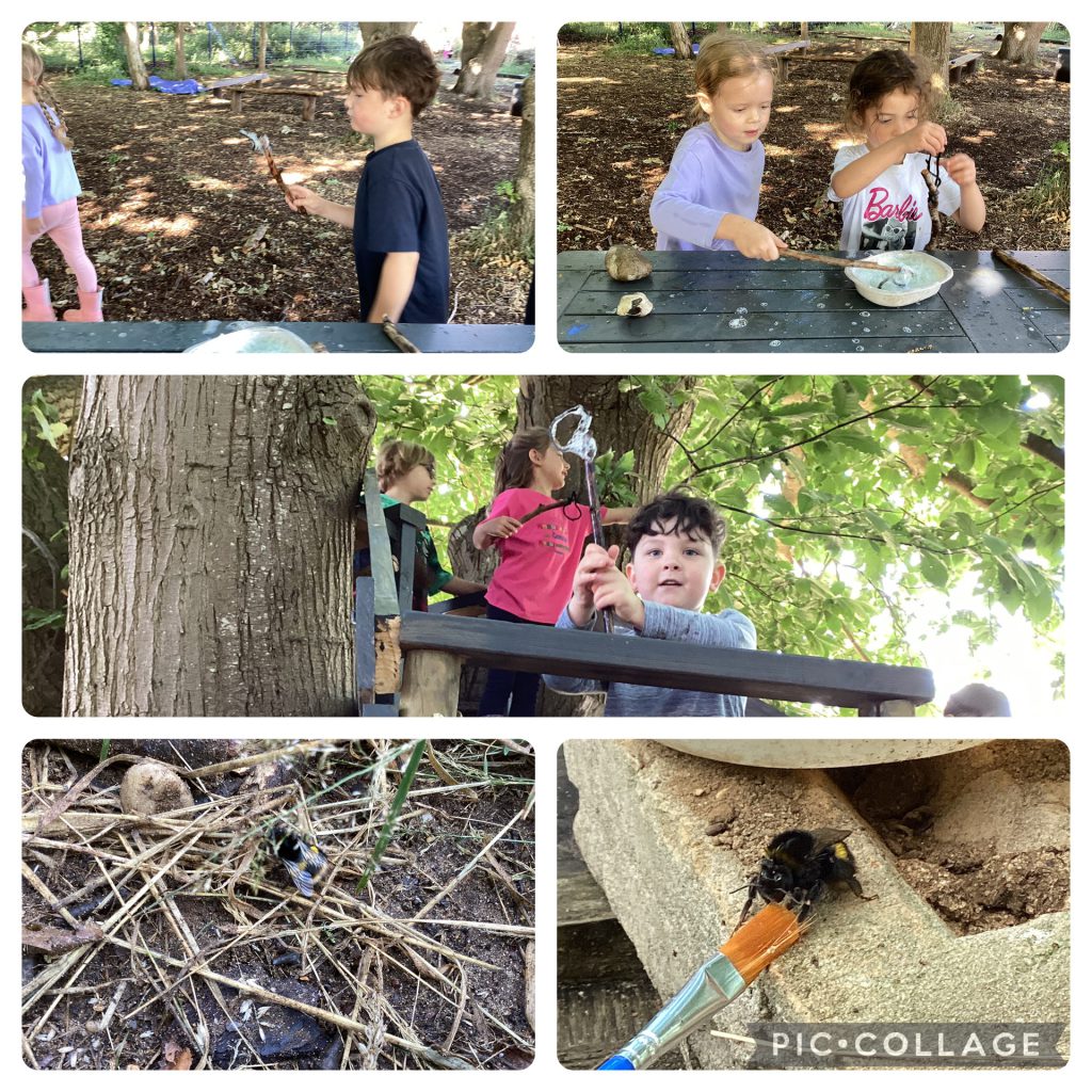 Small Blues - We made bubble wands and enjoyed nursing a bee back to health with some homemade bee rescue remedy.