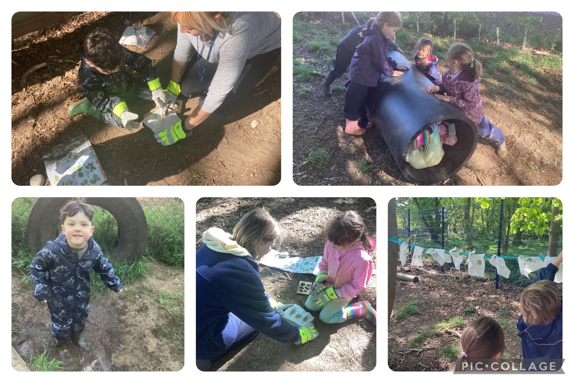 Small Blues learning about trees