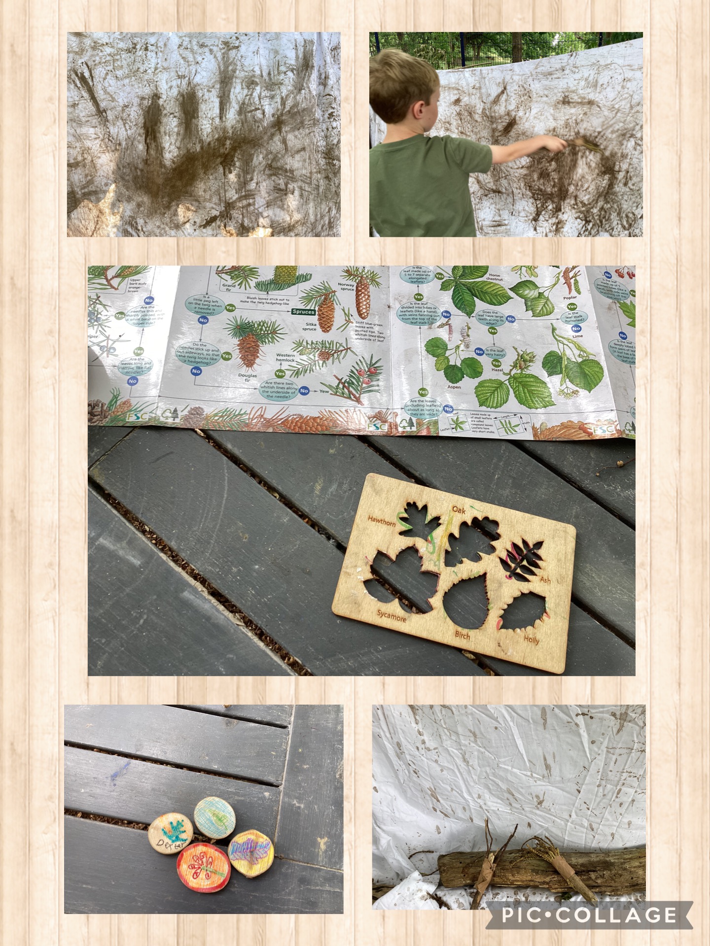 FOSS day activities  Tree ID - making wooden disks with leaf designs, inspired by the trees in our forest school space. Making modern art - A collaborative art piece with mud paint and our homemade natural paint brushes.