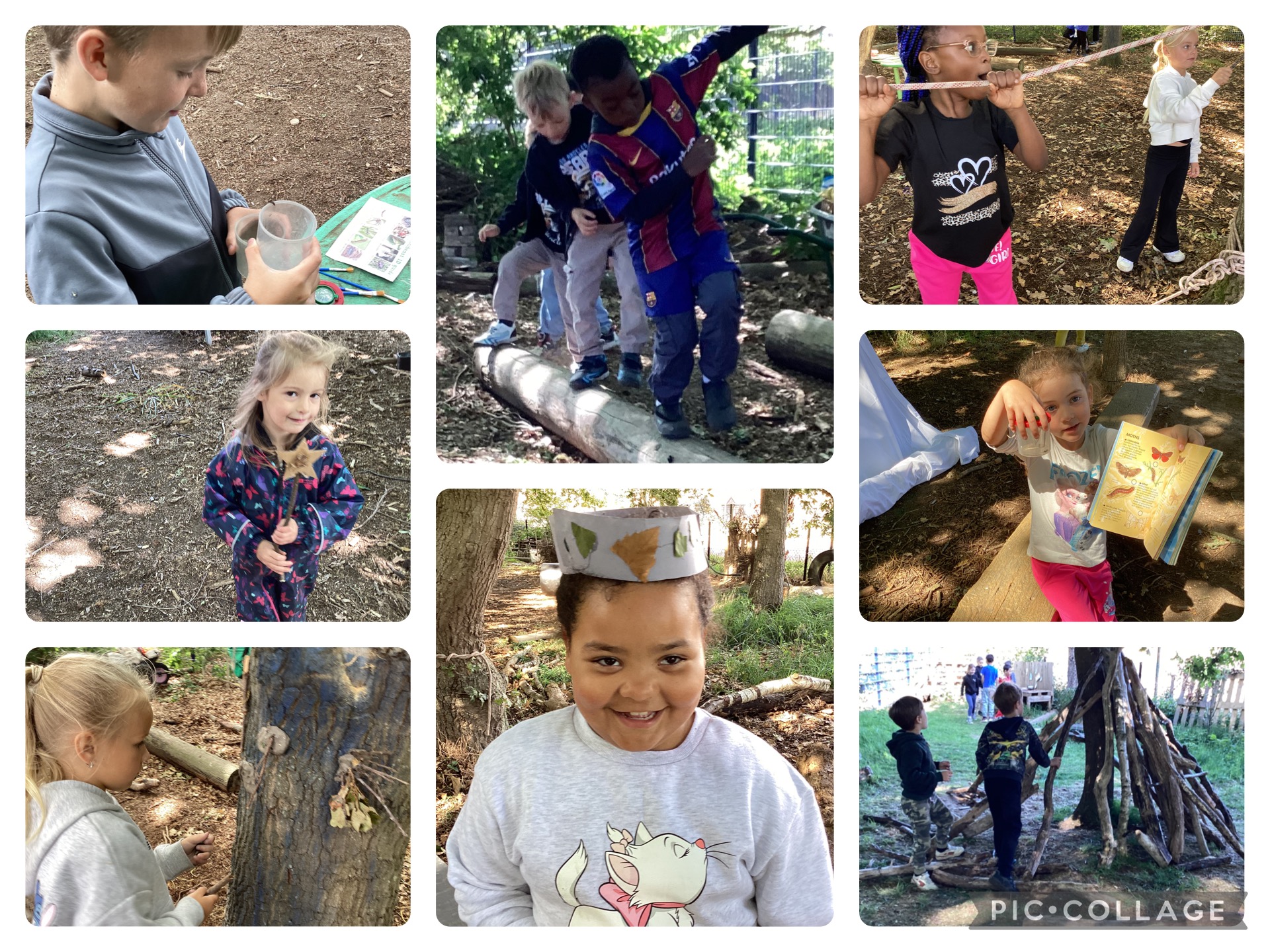 Forest School collage
