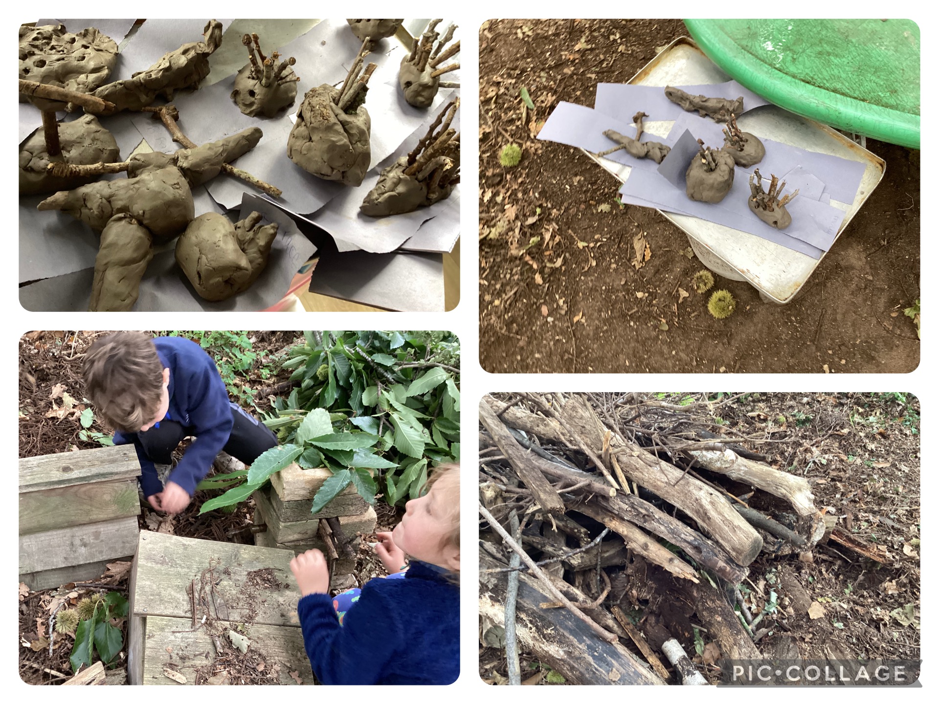 HB - We were working on a new hedgehog zone in our forest school area and making a variety of clay animals