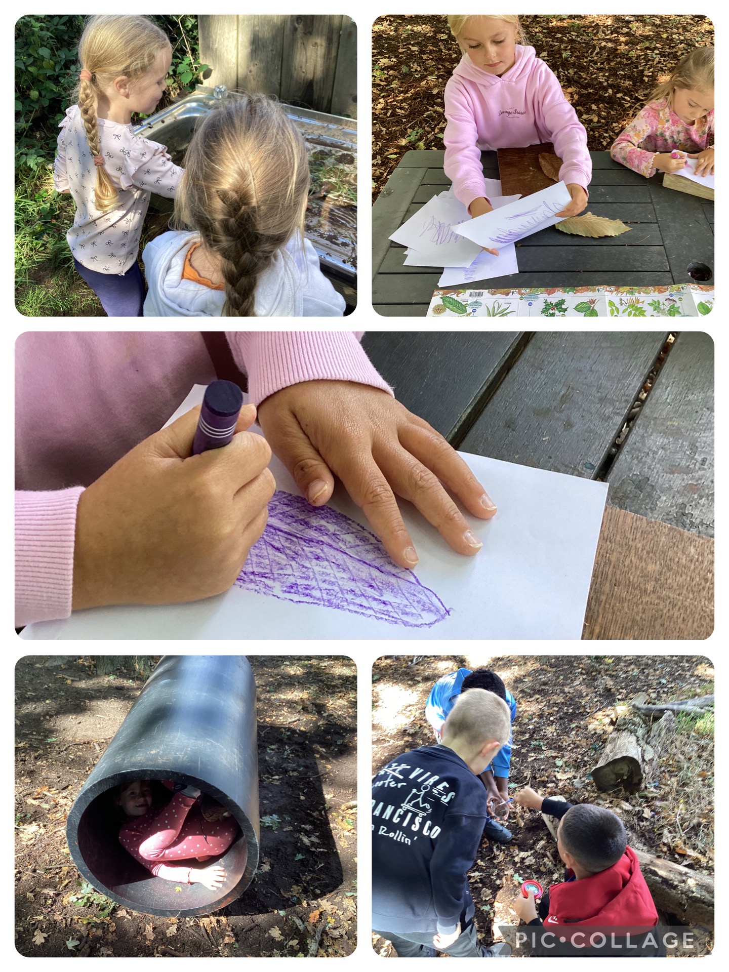 The children really enjoyed bug hunting and trying to ID the species we found. There were lots of woodlouse and spiders. We were exploring the textures of our trees by creating leaf and bark rubbings.
