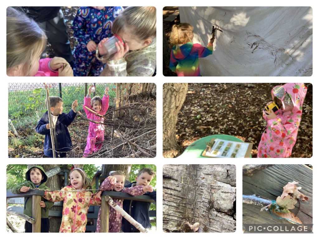 Small Blues Enjoyed making natural paint brushes, bug hunting and playing hide and seek!