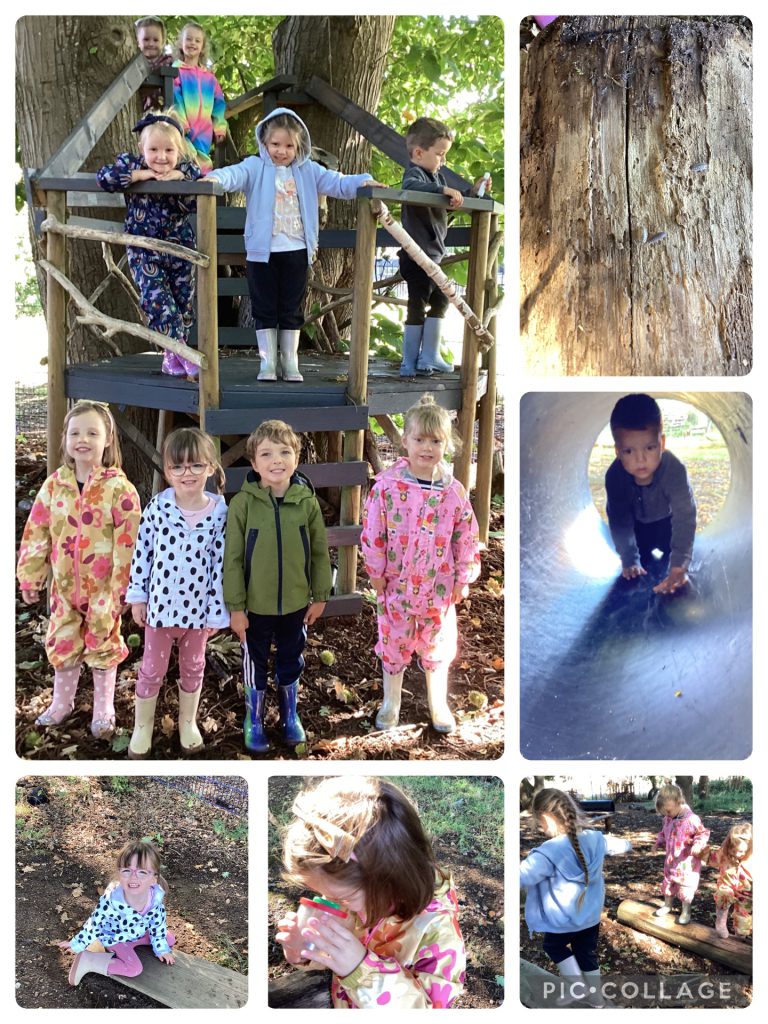 We enjoyed getting used to our forest school space. The treehouse and tunnel were very popular. We did lots of bug hunting and even found a Devil's Coach Horse beetle.