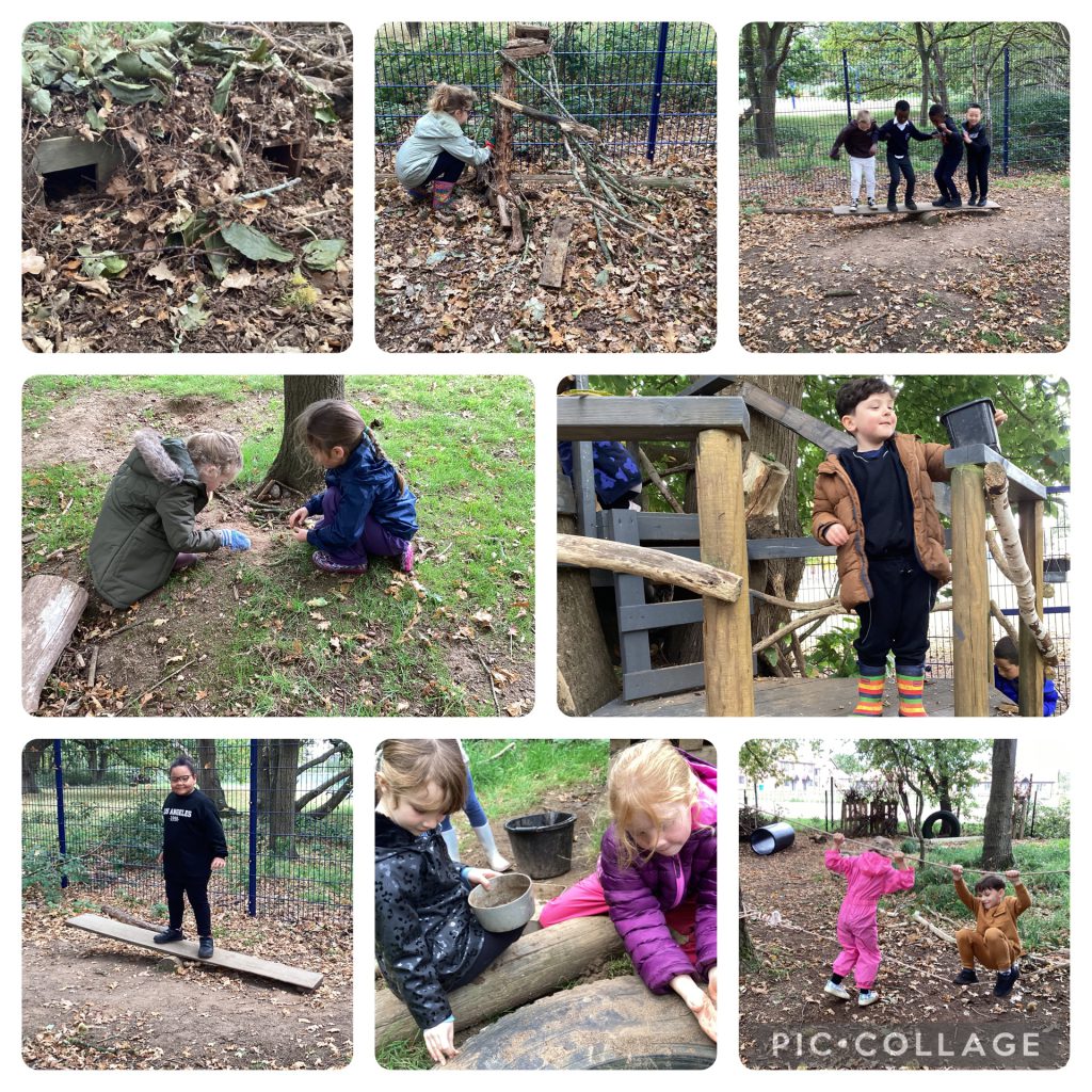 Holly Blues enjoyed building habitats, including improving our hedgehog zone which is now looking ready for any potential hedgehog visitors looking for somewhere to hibernate.