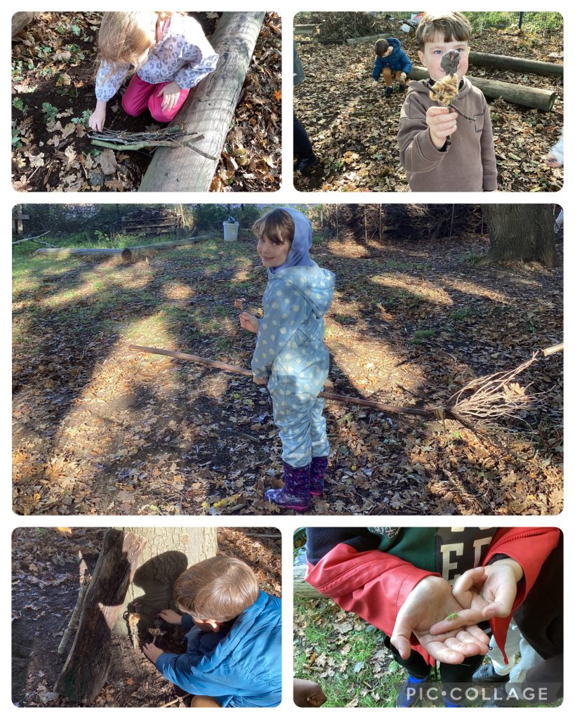 Holly Blues enjoyed making woodland fairies and building homes for them.