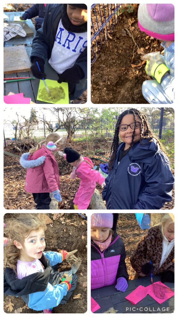 Holly Blues -  Today we extended last week's activity, creating natural paints, we mixed ingredients together to create ink from wasp galls. The use of oak galls to make a black ink dates back to the early Middle Ages and was in use until the early twentieth century. We also started planting some saplings that we got from the Woodland Trust. Today we planted hazel and dog rose.