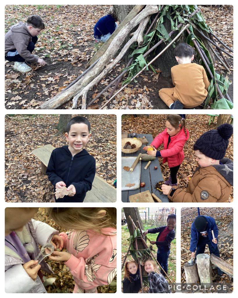 Holly Blues enjoyed developing their den building skills. We also learnt about wasp galls on oak leaves and acorns. The children enjoyed searching for them on the woodland floor.