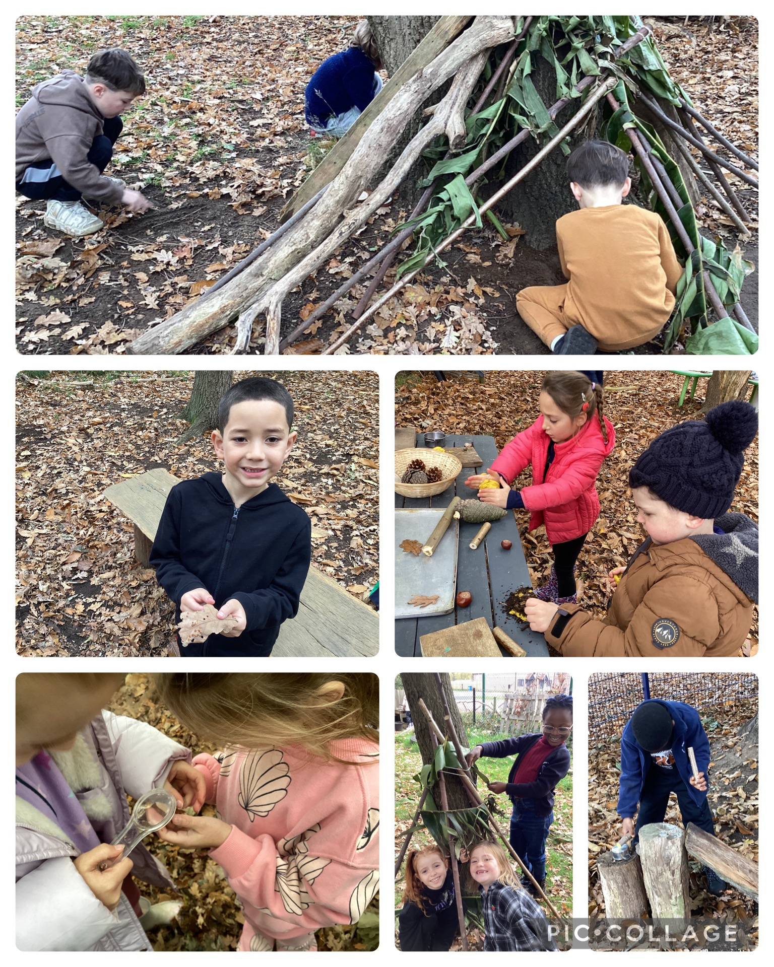 Holly Blues enjoyed developing their den building skills. We also learnt about wasp galls on oak leaves and acorns. The children enjoyed searching for them on the woodland floor.