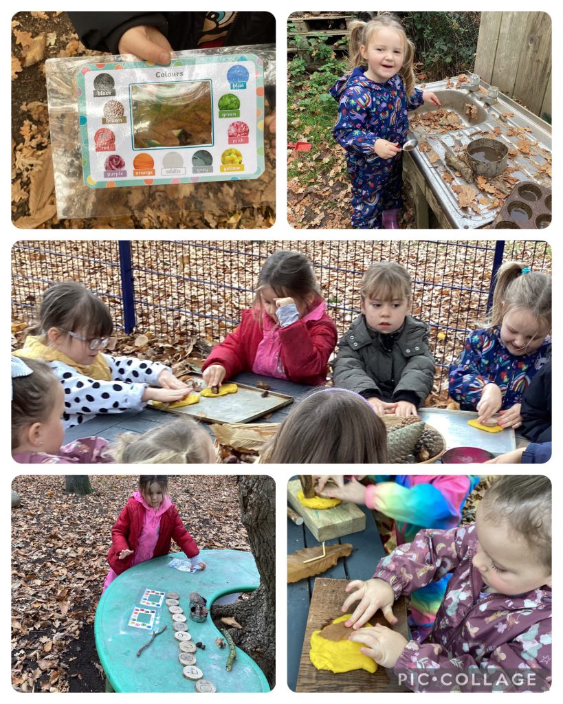 Small Blues enjoyed exploring the colours and textures in nature. We imprinted patterns into playdough using natural objects and had a scavenger hunt to see what colours we could find in nature during autumn in our forest school area.