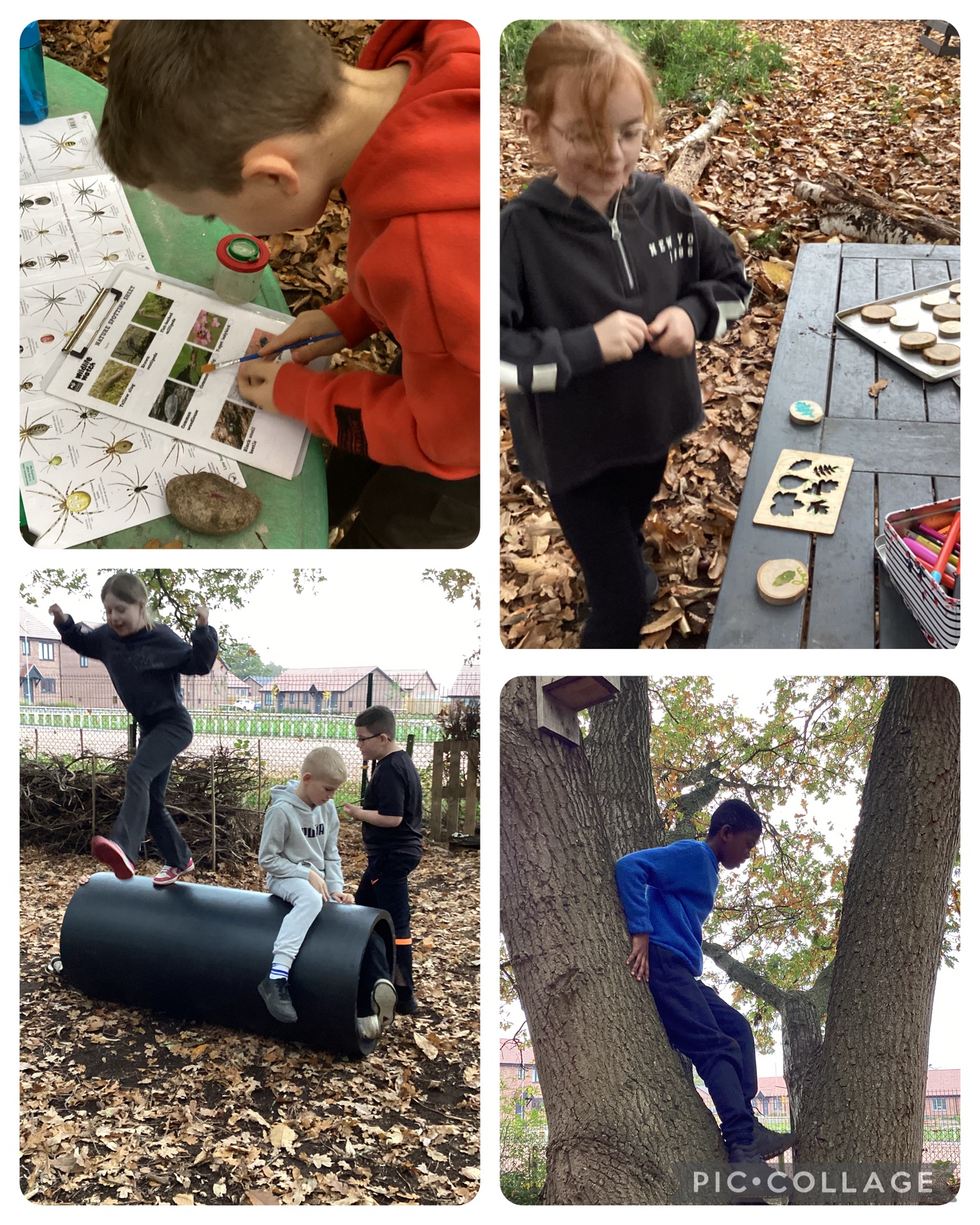 YR 4 enjoyed their first forest school session. We were getting to know the trees in our forest school area through climbing and using leaves and ID sheets to learn about what trees are in the Forest School area.