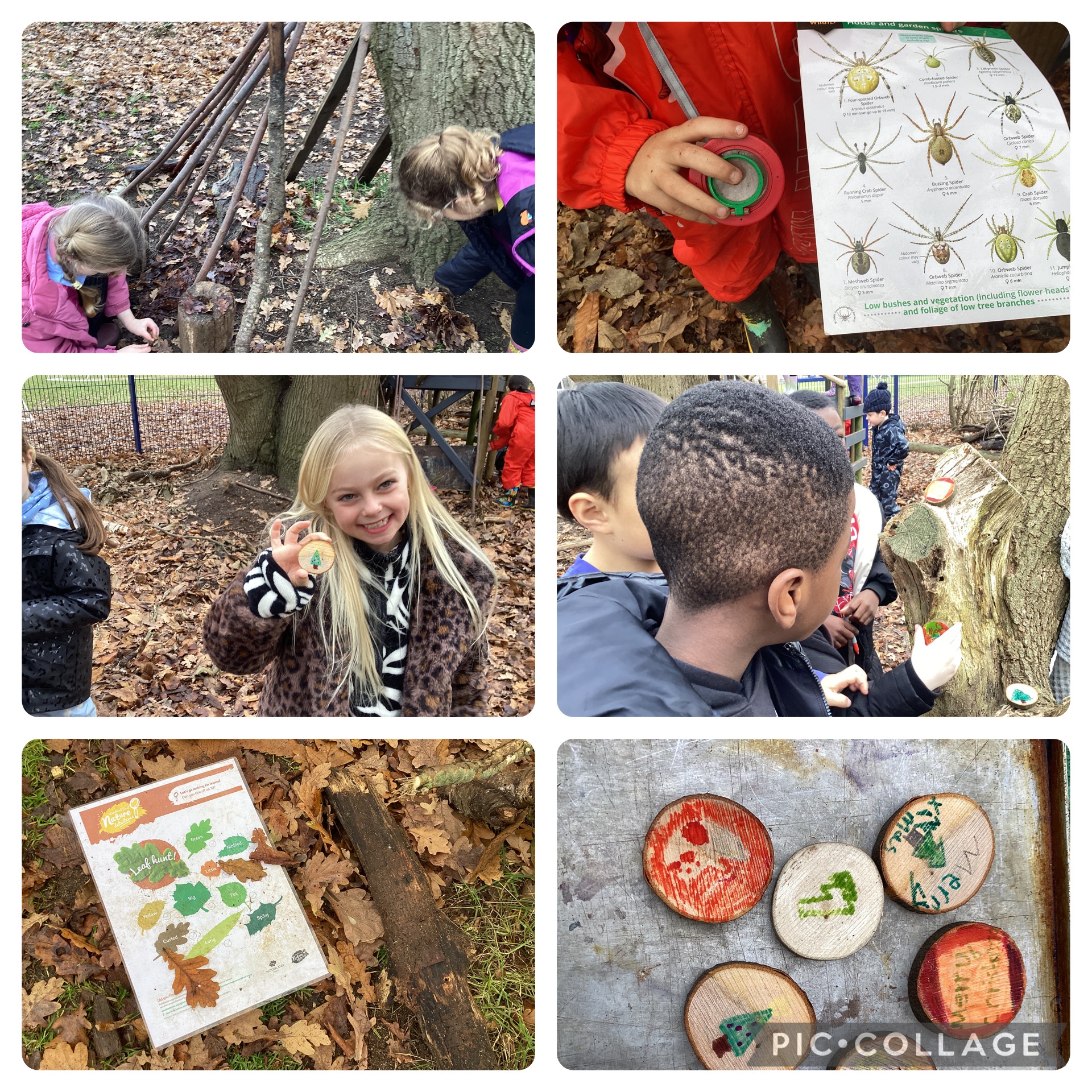 Holly Blues enjoyed making a variety of Christmas crafts made from natural objects, many children were looking for spiders and tried to ID them using our ID chart