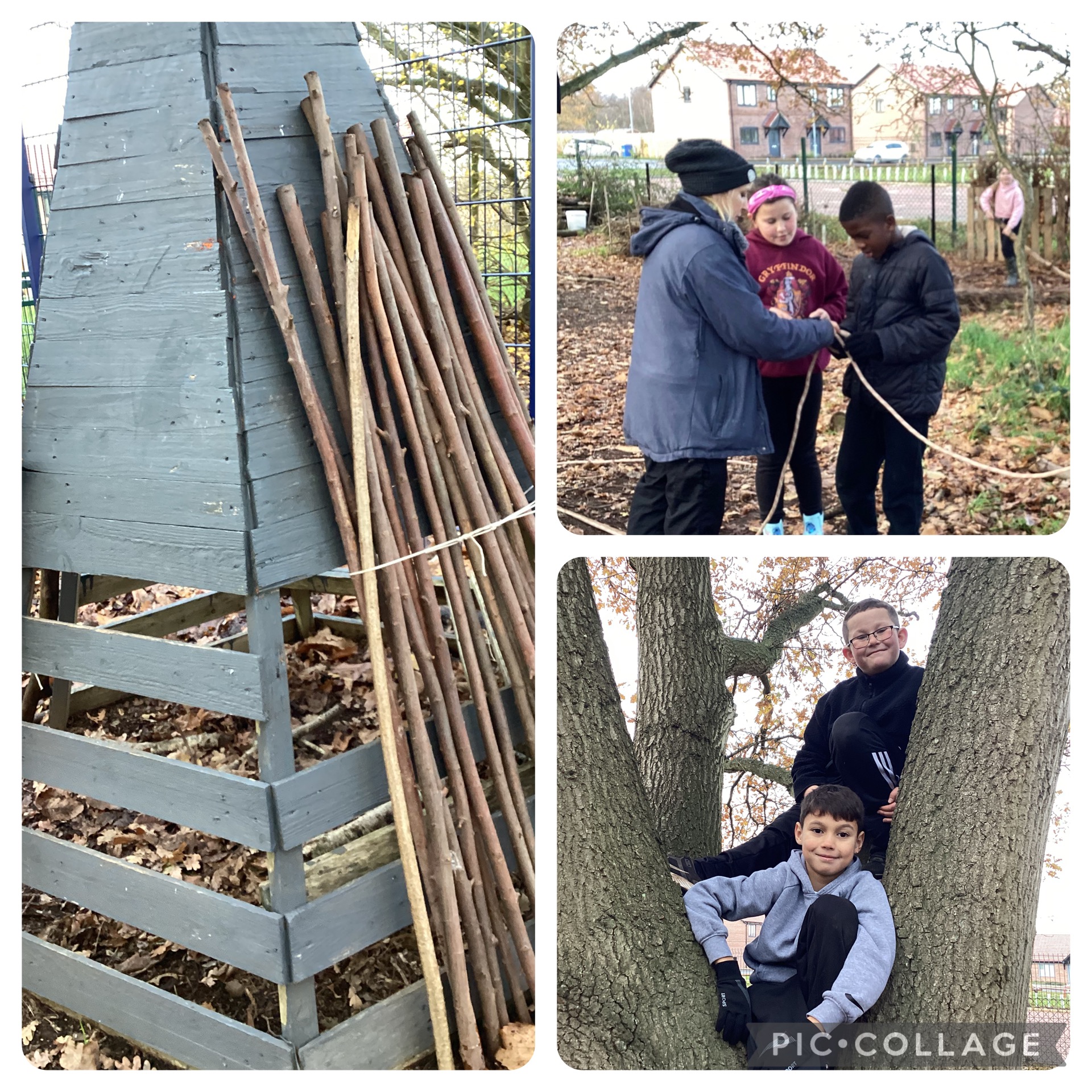 YR4 enjoyed learning how to put up a rope line and climbing trees