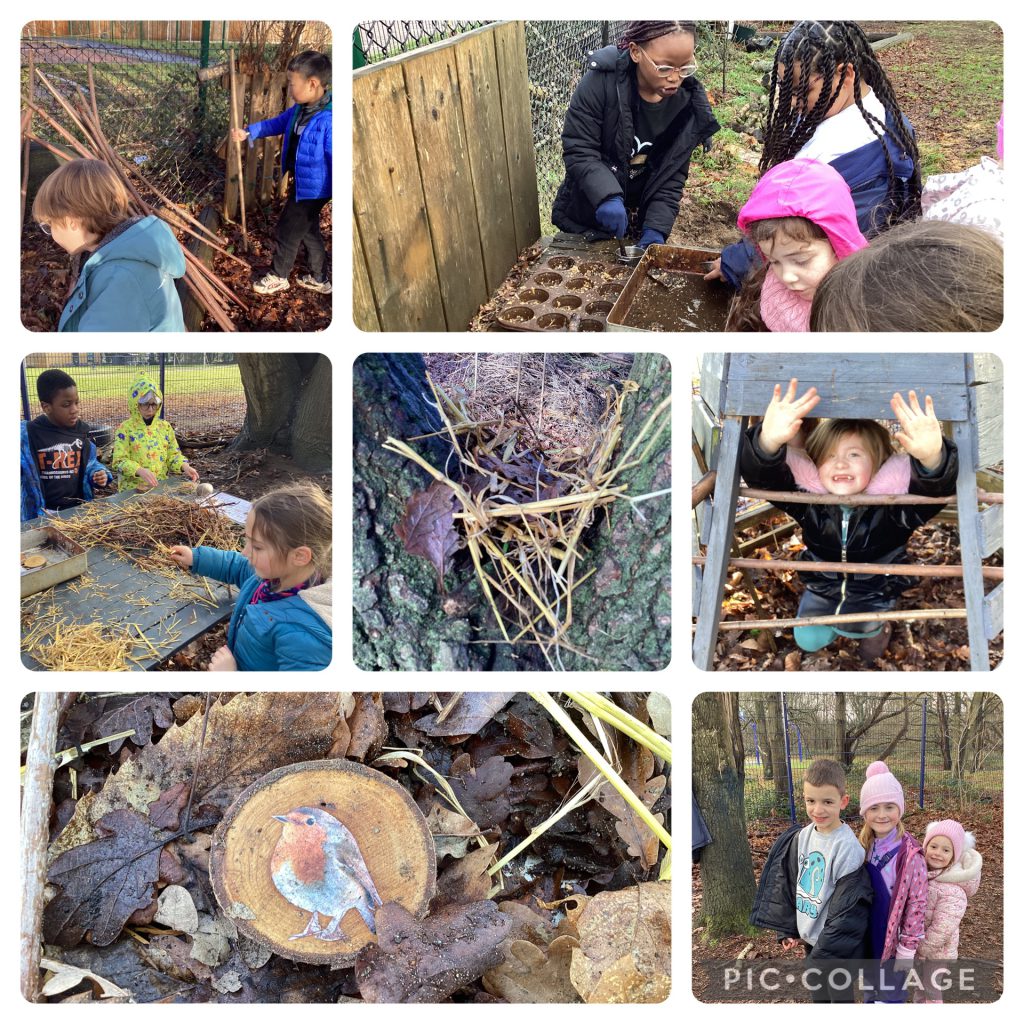 Holly Blues enjoyed noticing the seasonal changes and learning about the birds that are around this time of year. Some of the children made bird nests, inspired by the nests they could see up above us in the trees. We talked about the different materials birds use to build nests. Many of the children also enjoyed hunting for bugs that birds might like to eat.