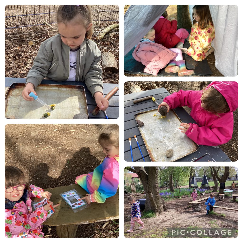 Small Blues enjoyed experimenting with dandelions to create paint, many enjoyed relaxing in the shelter and bug hunting.