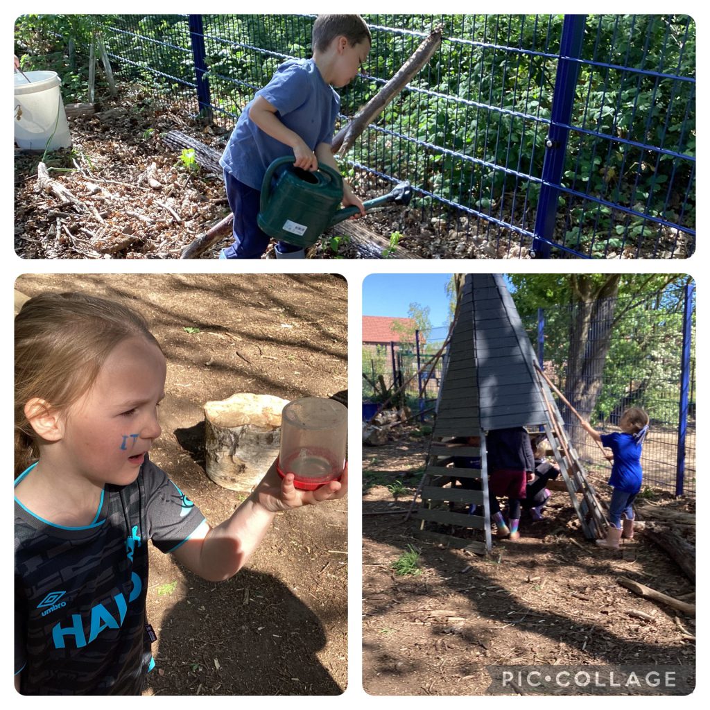 Small Blues enjoyed watering our saplings and den building.