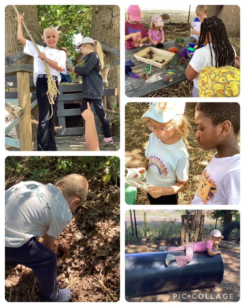 HB 10.7.26 - Today we were working on habitat creation and learning about stag beetles. We began digging deep holes to create a stag beetle log sumpery. There was lots of invertebrate exploration and we even found some cinnabar moth caterpillars. Lots of children enjoyed being creative with pine cones and wool.