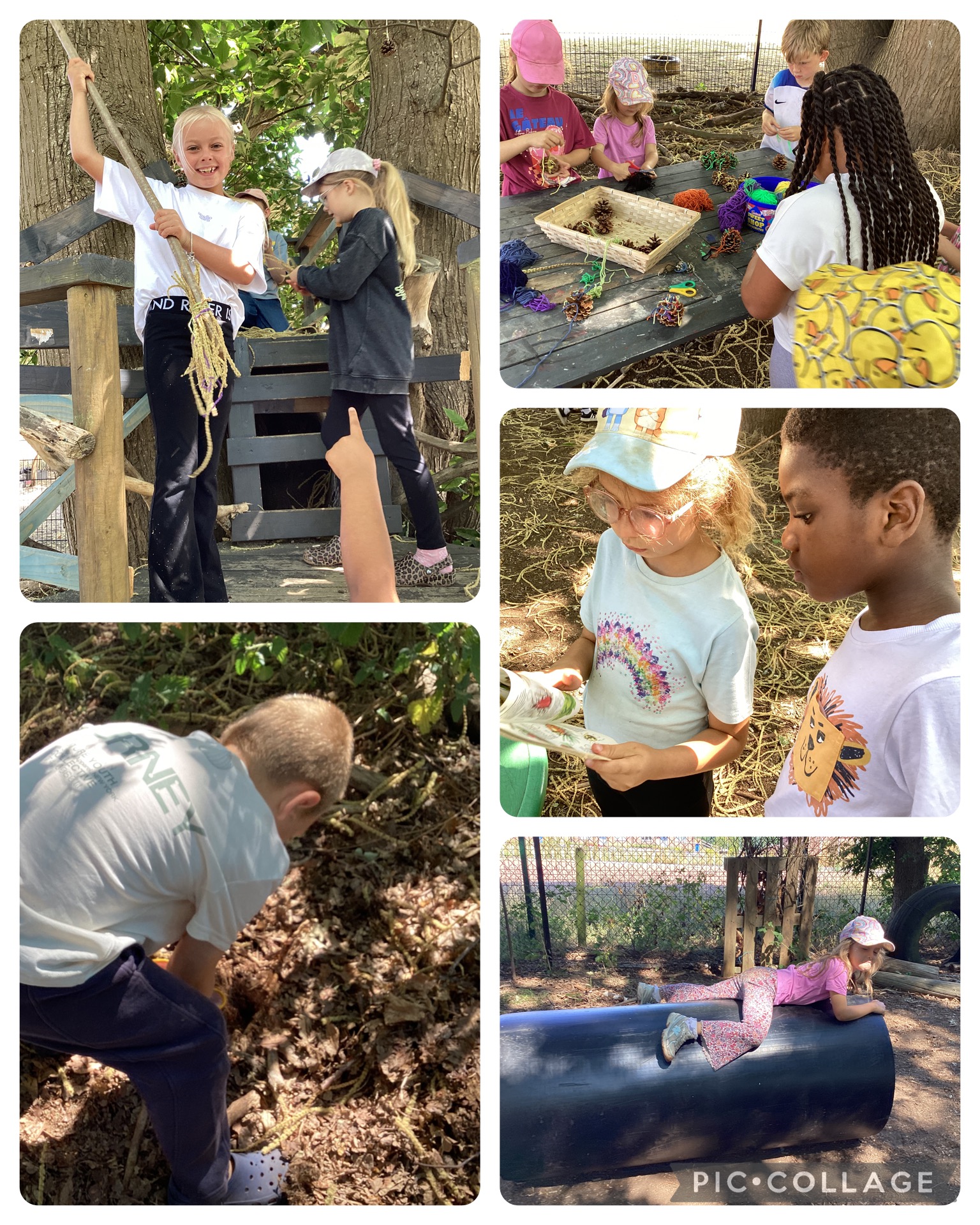 HB 10.7.26 - Today we were working on habitat creation and learning about stag beetles. We began digging deep holes to create a stag beetle log sumpery. There was lots of invertebrate exploration and we even found some cinnabar moth caterpillars. Lots of children enjoyed being creative with pine cones and wool.