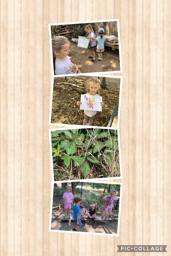 Small Blues enjoyed talking about butterflies, we found a gate keeper butterfly and made butterfly paintings. Lots of fun was had in the tunnel and on the seesaw.