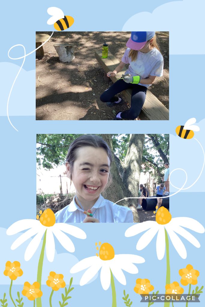YR6 10.7.26 Today we were developing our tool use skills, whittling with peelers to create elder beads. The mud kitchen was popular as was the tunnel.